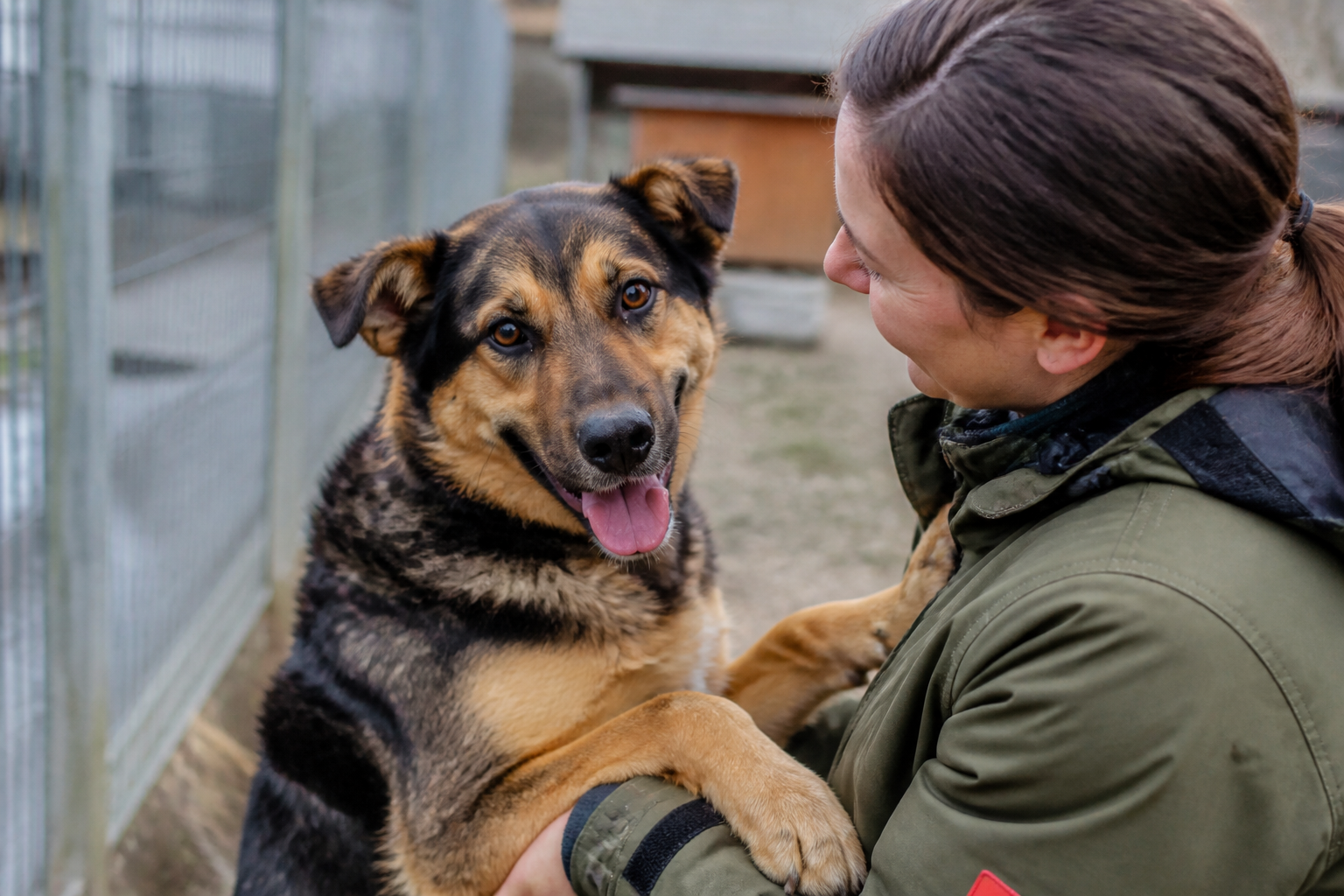 Bavyera'da Sahiplendirilmeyi Bekleyen Köpek Ricky İlgi Odağı